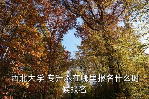  西北大學(xué) 專升本在哪里報名什么時候報名