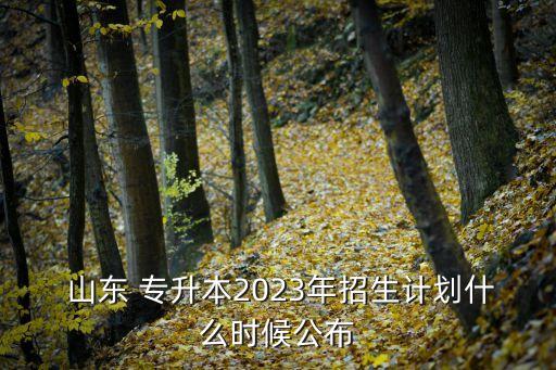  山東 專升本2023年招生計(jì)劃什么時(shí)候公布