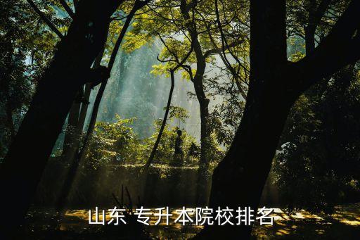 山東 專升本院校排名