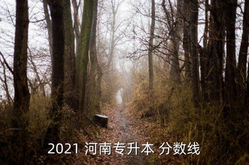 2021 河南專升本 分?jǐn)?shù)線