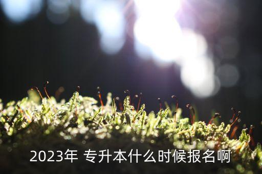 2023年 專升本什么時候報名啊