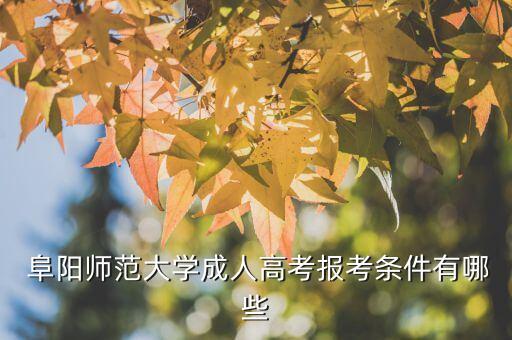  阜陽(yáng)師范大學(xué)成人高考報(bào)考條件有哪些