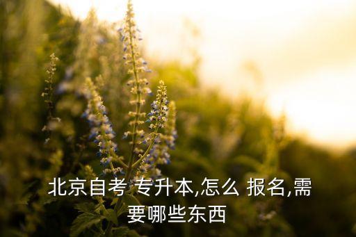 北京專升本在什么網(wǎng)站報名