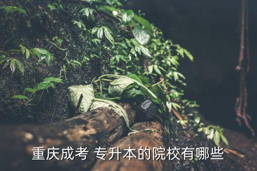 重慶成考 專升本的院校有哪些