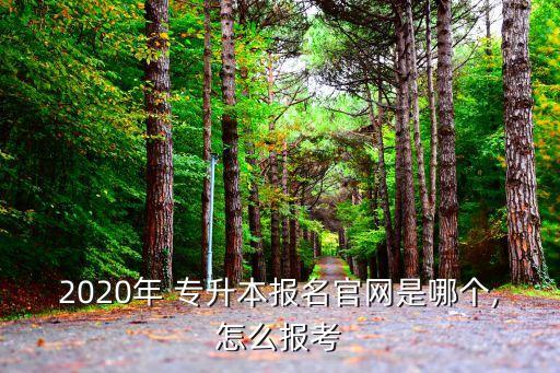 2020年 專升本報(bào)名官網(wǎng)是哪個(gè),怎么報(bào)考