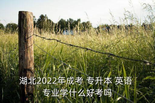 湖北2022年成考 專升本 英語 專業(yè)學(xué)什么好考嗎