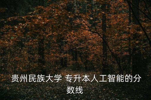  貴州民族大學(xué) 專升本人工智能的分?jǐn)?shù)線