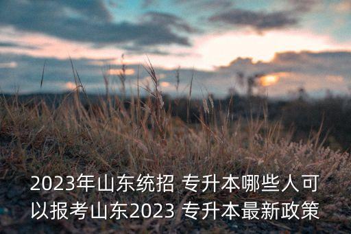 2023年山東統(tǒng)招 專升本哪些人可以報考山東2023 專升本最新政策