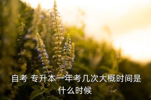  自考 專升本一年考幾次大概時間是什么時候