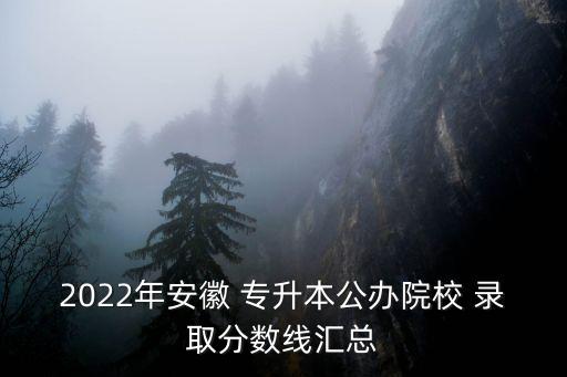 2022年安徽 專升本公辦院校 錄取分?jǐn)?shù)線匯總