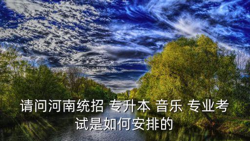 請問河南統(tǒng)招 專升本 音樂 專業(yè)考試是如何安排的