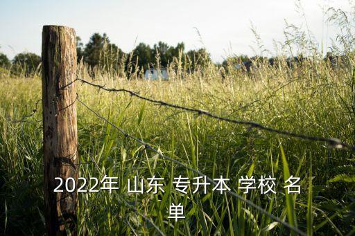 2022年 山東 專升本 學(xué)校 名單