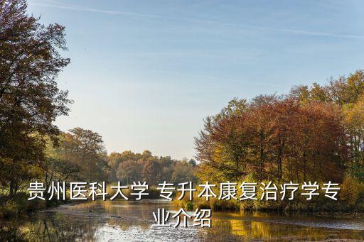  貴州醫(yī)科大學(xué) 專升本康復(fù)治療學(xué)專業(yè)介紹