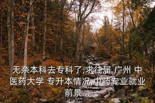 廣州中醫(yī)藥全日制專升本,全日制專升本學(xué)歷可以入戶廣州嗎