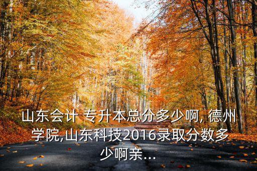 山東會計 專升本總分多少啊, 德州 學院,山東科技2016錄取分數(shù)多少啊親...