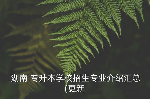 湖南工程學(xué)院資源工程系專(zhuān)升本