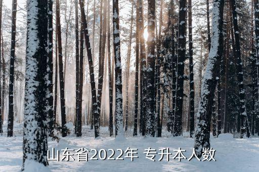  山東省2022年 專升本人數(shù)