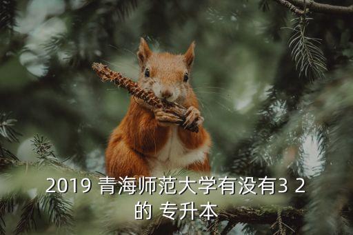 2019 青海師范大學(xué)有沒有3 2的 專升本