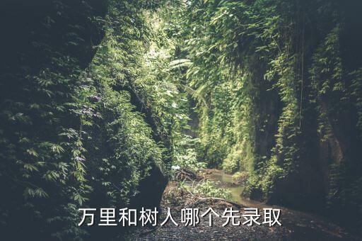 萬里和樹人哪個先錄取