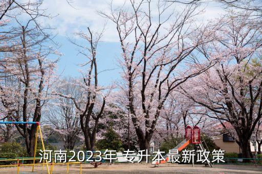  河南2023年 專升本最新政策