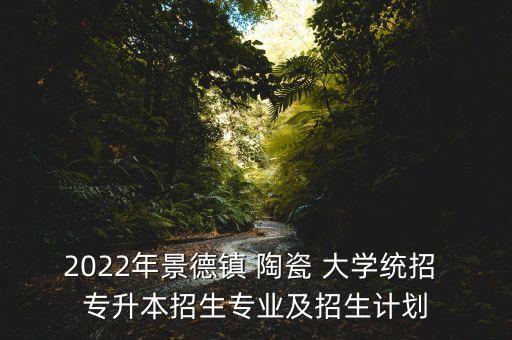 2022年景德鎮(zhèn) 陶瓷 大學(xué)統(tǒng)招 專升本招生專業(yè)及招生計劃