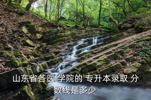 山東省各醫(yī) 學院的 專升本錄取 分數(shù)線是多少