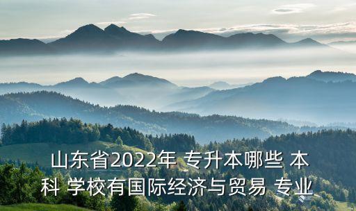  山東省2022年 專升本哪些 本科 學(xué)校有國際經(jīng)濟(jì)與貿(mào)易 專業(yè)