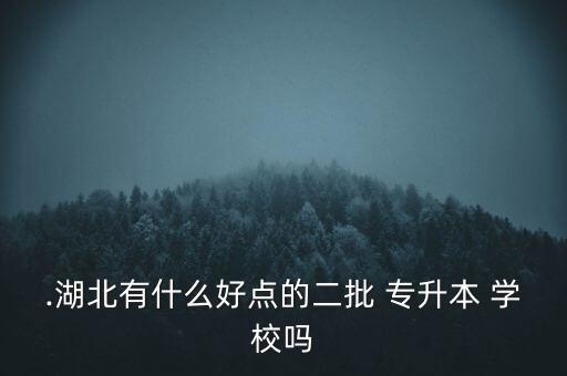 .湖北有什么好點的二批 專升本 學(xué)校嗎