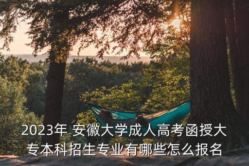 安徽大學(xué)視覺傳達設(shè)計專升本