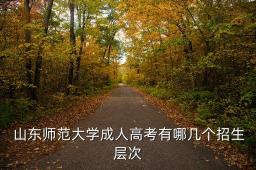 山東師大教育專升本百度百科,點(diǎn)對(duì)點(diǎn)教育專升本百度百科