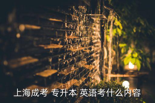 上海成考 專升本 英語考什么內(nèi)容