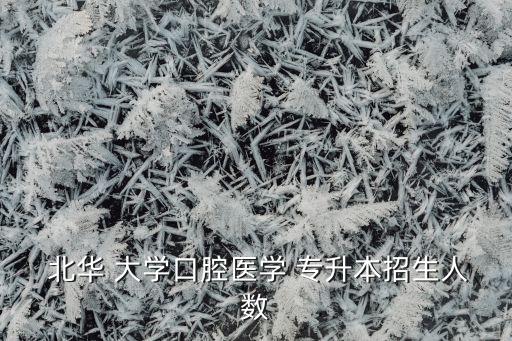  北華 大學口腔醫(yī)學 專升本招生人數(shù)