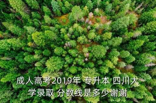 成人高考2019年 專升本 四川大學錄取 分數(shù)線是多少謝謝