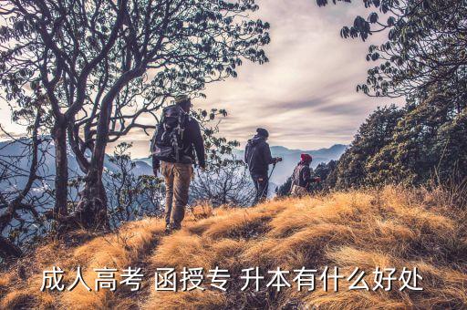 函授幼師專升本有用嗎,函授專升本考學(xué)位英語(yǔ)有用嗎