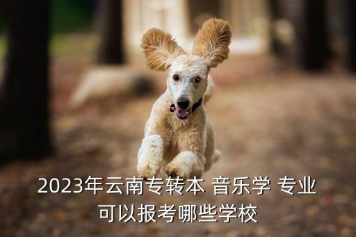 2023年云南專轉本 音樂學 專業(yè)可以報考哪些學校