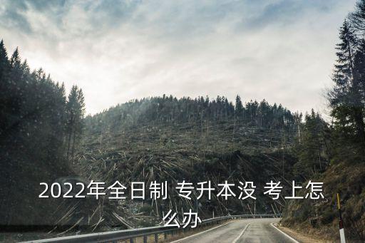 2022年全日制 專升本沒(méi) 考上怎么辦