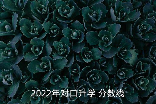 2022年對口升學(xué) 分?jǐn)?shù)線