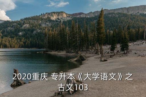 2020重慶 專升本《大學語文》之古文103