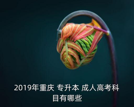 2019年成人專升本