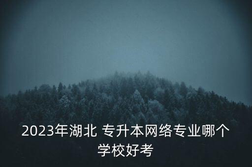 武漢學院專升本咋樣,武漢東湖學院專升本