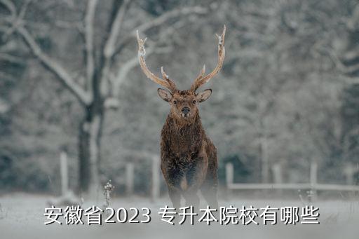  安徽省2023 專升本院校有哪些