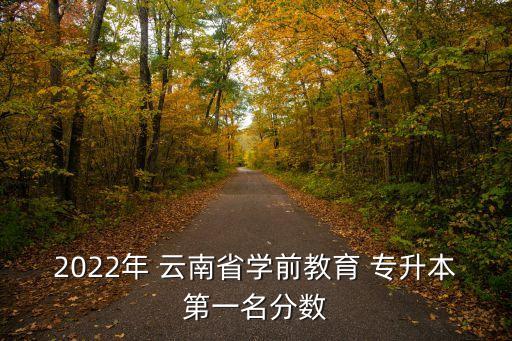 2022年 云南省學(xué)前教育 專升本第一名分?jǐn)?shù)