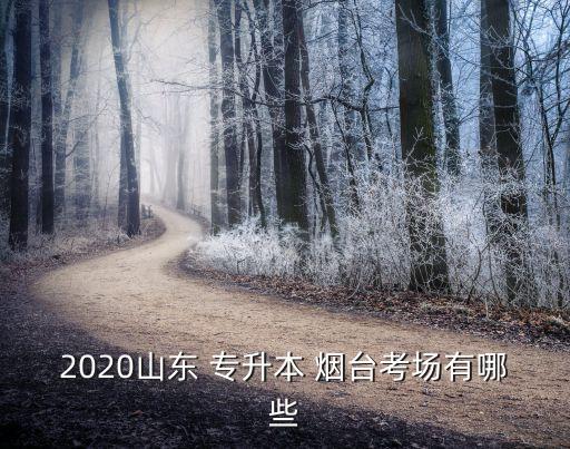 2020山東 專升本 煙臺考場有哪些