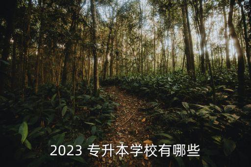 2023 專升本學(xué)校有哪些