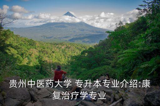 貴州中醫(yī)藥大學(xué) 專升本專業(yè)介紹:康復(fù)治療學(xué)專業(yè)