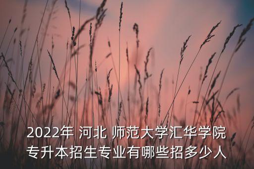 2022年 河北 師范大學(xué)匯華學(xué)院專升本招生專業(yè)有哪些招多少人