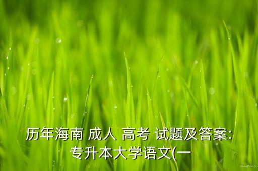 歷年海南 成人 高考 試題及答案: 專升本大學(xué)語(yǔ)文(一