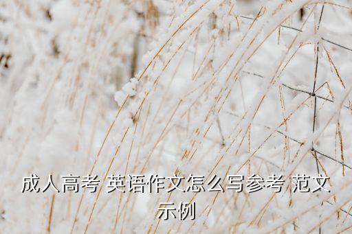 成人高考 英語(yǔ)作文怎么寫參考 范文示例