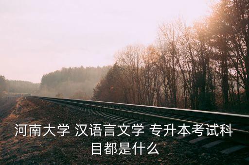 河南大學 漢語言文學 專升本考試科目都是什么