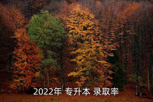 2022年 專升本 錄取率